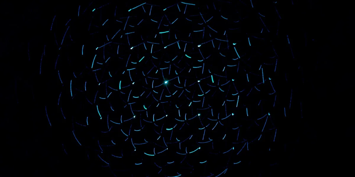 Google Maps: Gemini übernimmt künftig die Bildbeschriftung