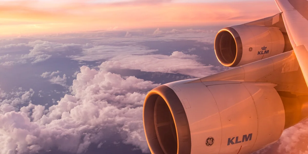 white air plane wing