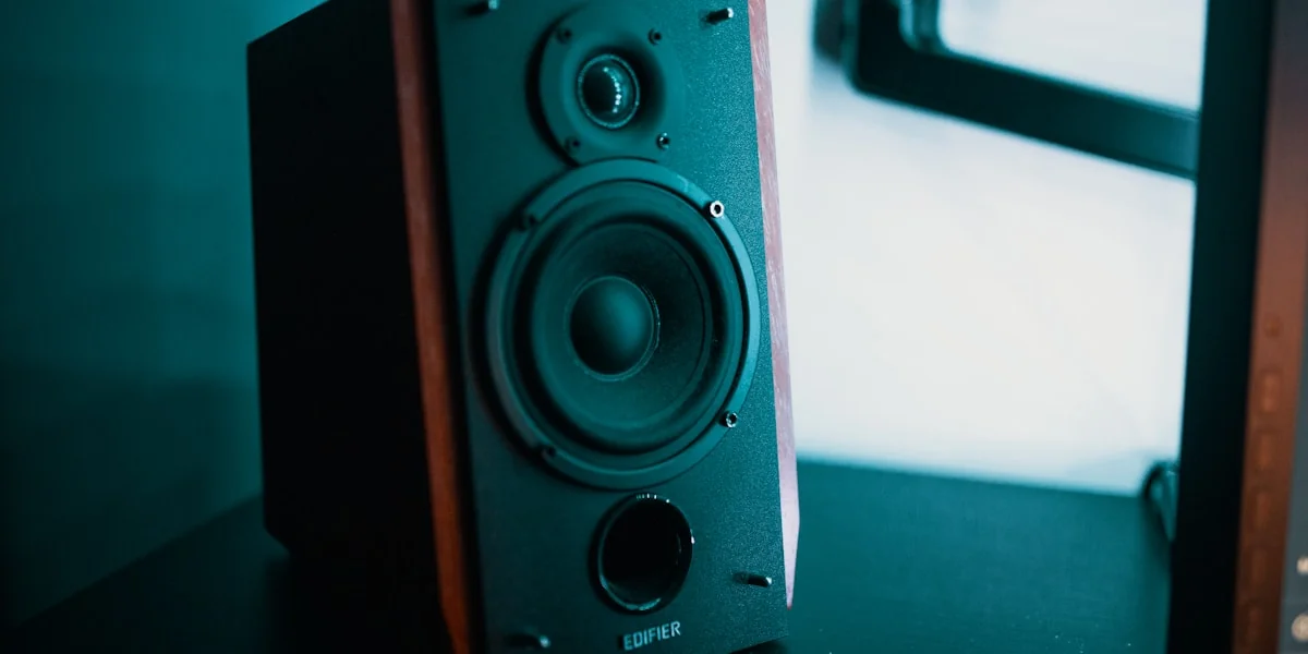 black and brown bookshelf speaker on black surface