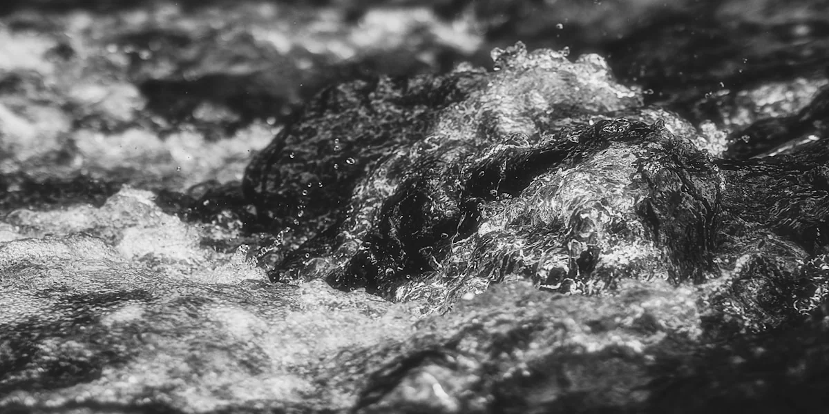 a black and white photo of a river