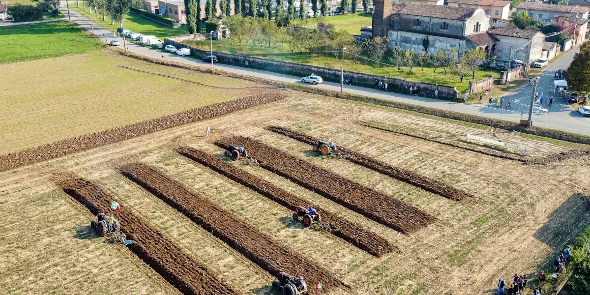 aerial view of green trees and brown field during daytime