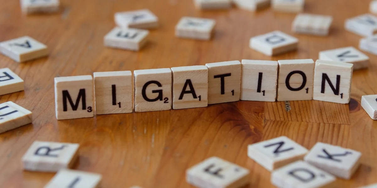 A close up of a wooden block with letters spelling the word migration